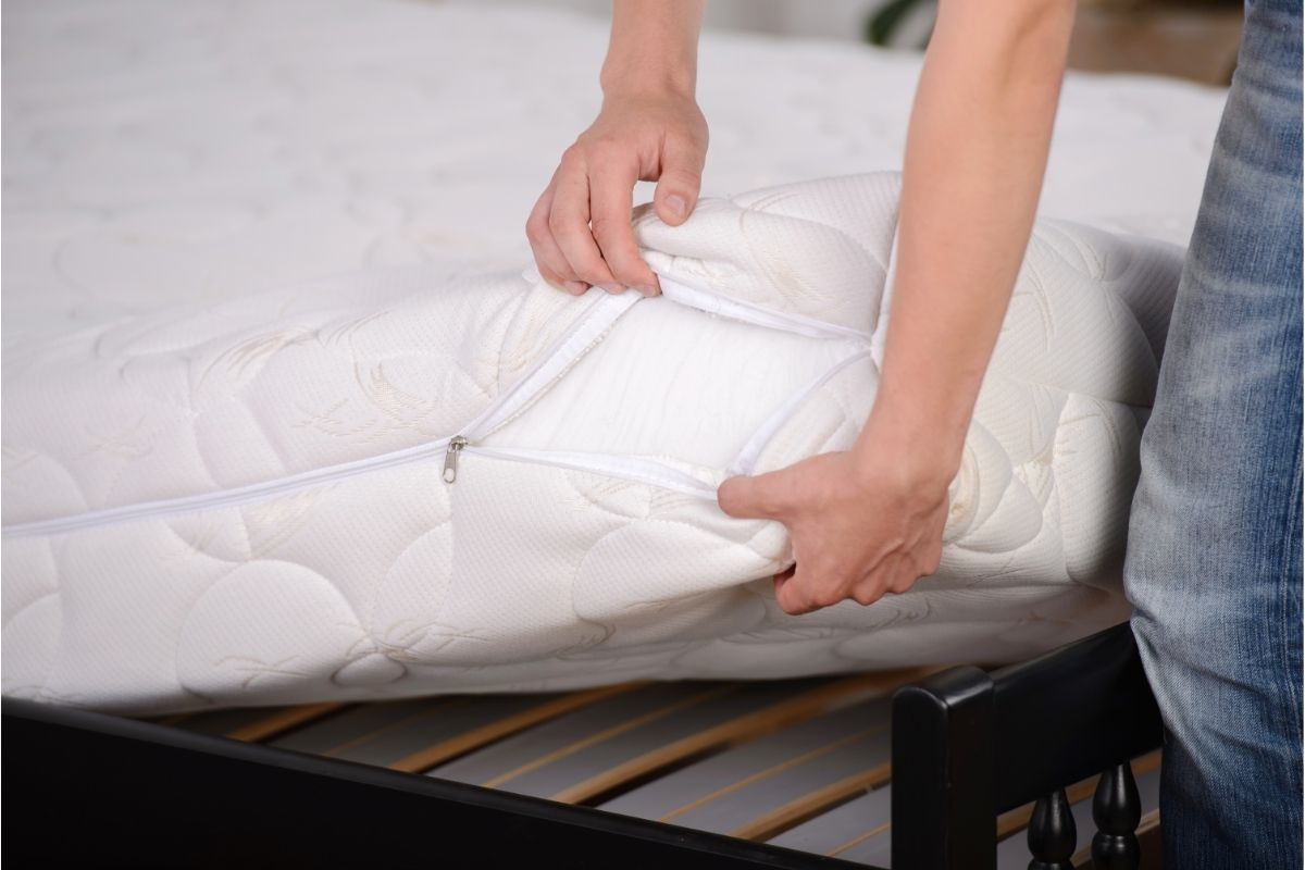 How To Check Mattress For Bed Bugs – Hibermate